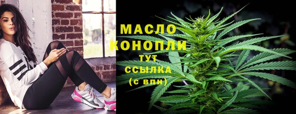 ALPHA-PVP Каменка