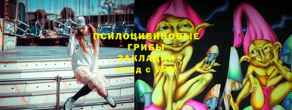 МДПВ Каменск-Шахтинский